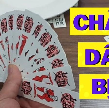 Cách đánh chắn bịp chuẩn dành cho các tay cược mới tham gia